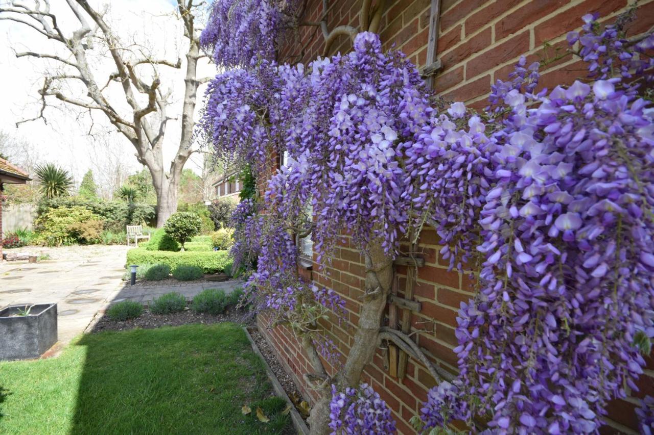 Wisteria Way, Tangmere Екстериор снимка